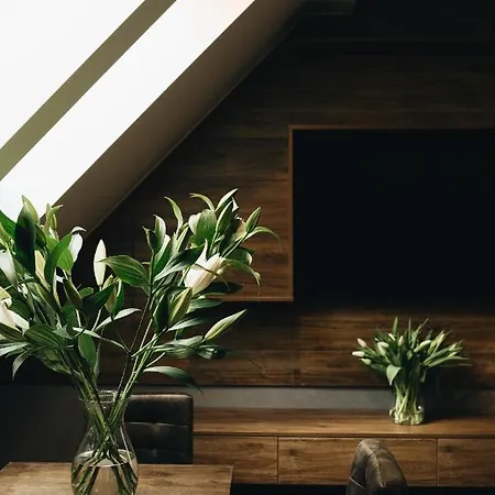 Ratuszova Stary Rynek Old Market Premium & Restaurant Ad 1954 Daire Poznan